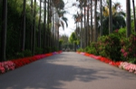 yingbin avenue