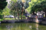 water pool